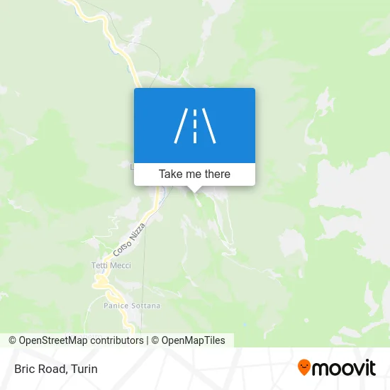 Bric Road map