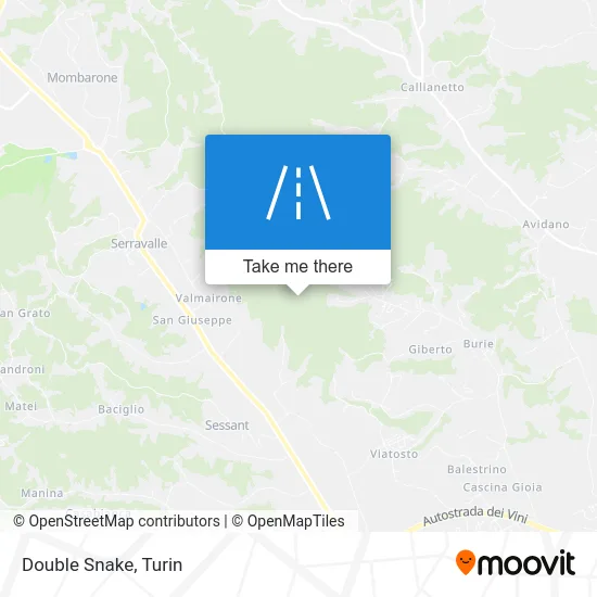 Double Snake map