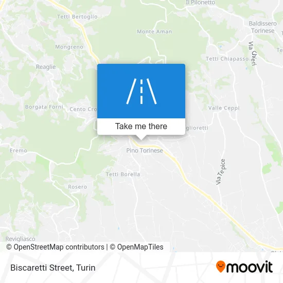 Biscaretti Street map