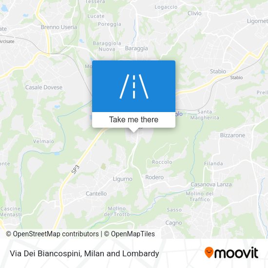 Via Dei Biancospini map
