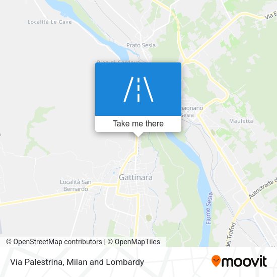 Via Palestrina map