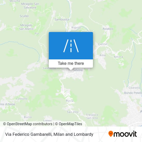 Via Federico Gambarelli map