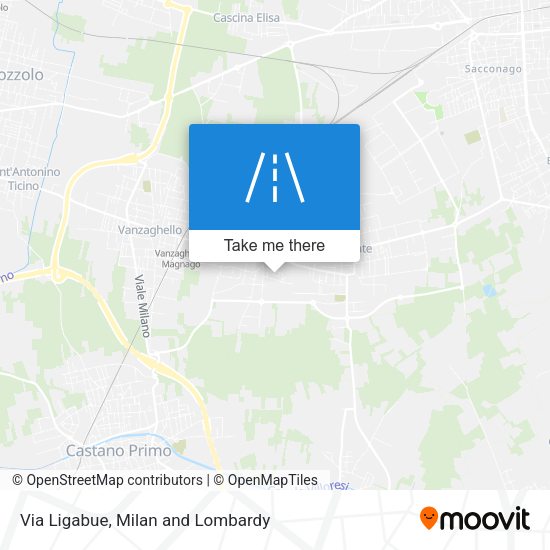 Via Ligabue map