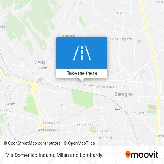 Via Domenico Induno map