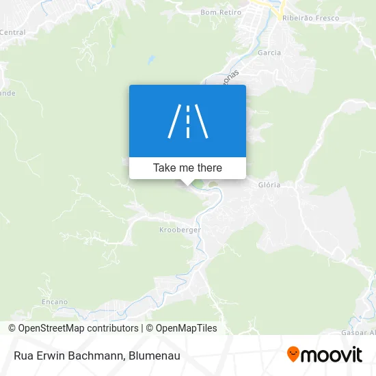 Rua Erwin Bachmann map