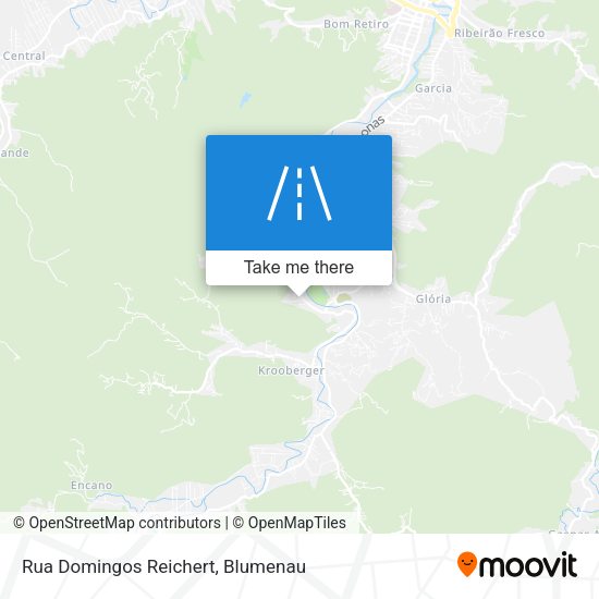 Rua Domingos Reichert map