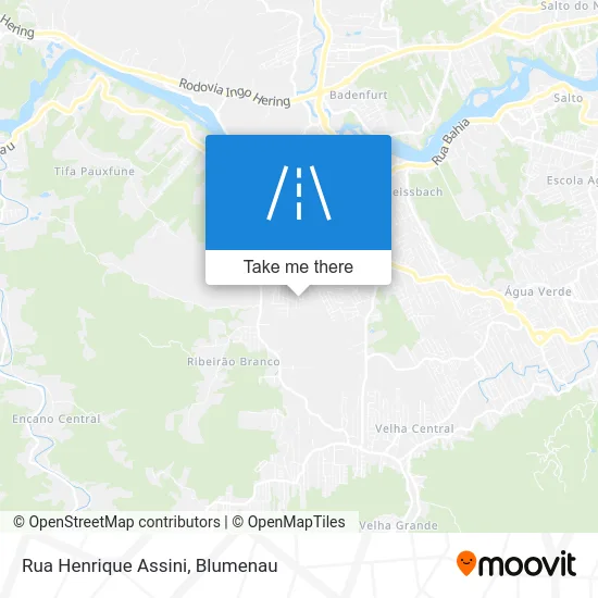 Rua Henrique Assini map