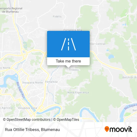 Rua Ottilie Tribess map