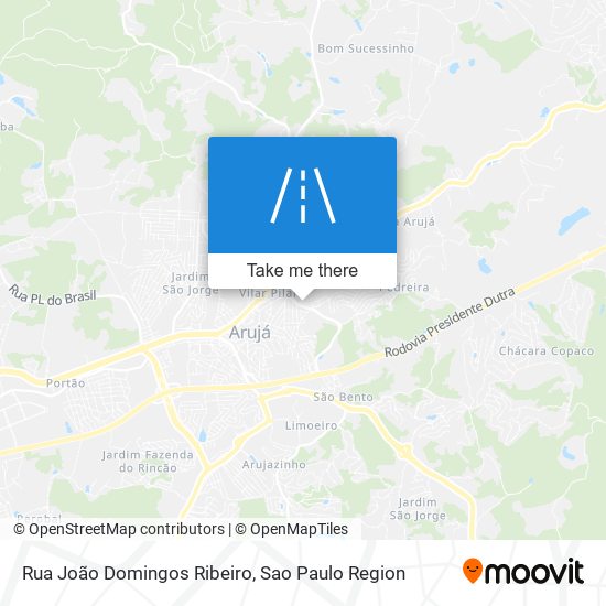 Mapa Rua João Domingos Ribeiro