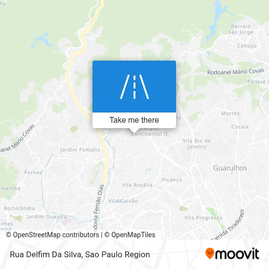 Rua Delfim Da Silva map