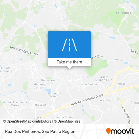 Rua Dos Pinheiros map