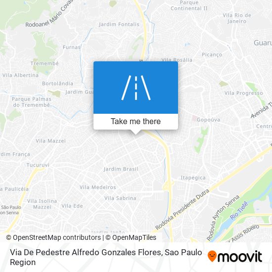 Via De Pedestre Alfredo Gonzales Flores map