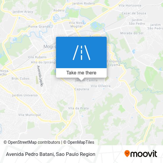 Avenida Pedro Batani map