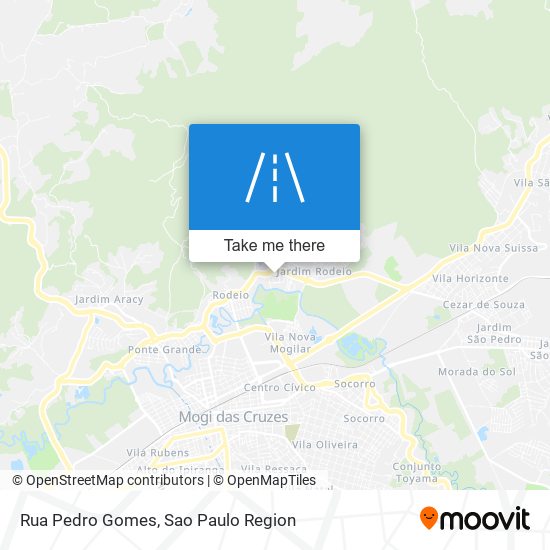 Rua Pedro Gomes map