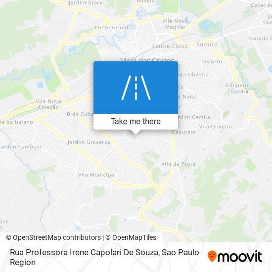 Rua Professora Irene Capolari De Souza map