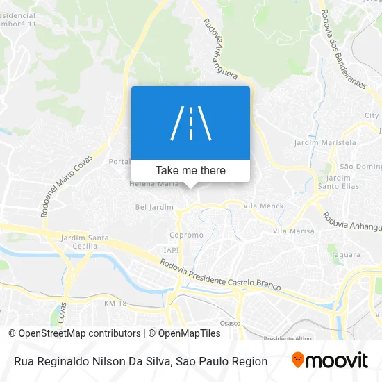 Rua Reginaldo Nilson Da Silva map