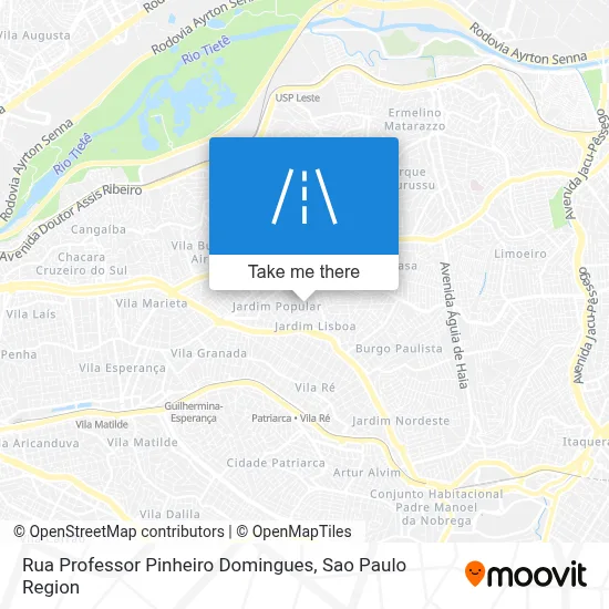 Rua Professor Pinheiro Domingues map