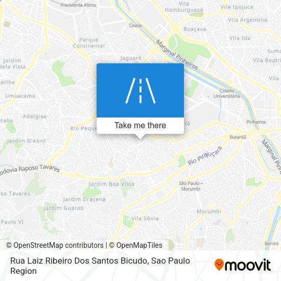 Rua Laiz Ribeiro Dos Santos Bicudo map