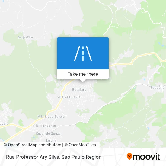Rua Professor Ary Silva map