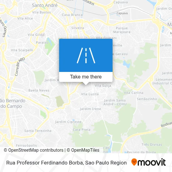 Rua Professor Ferdinando Borba map
