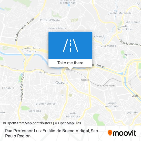 Mapa Rua Professor Luiz Eulálio de Bueno Vidigal