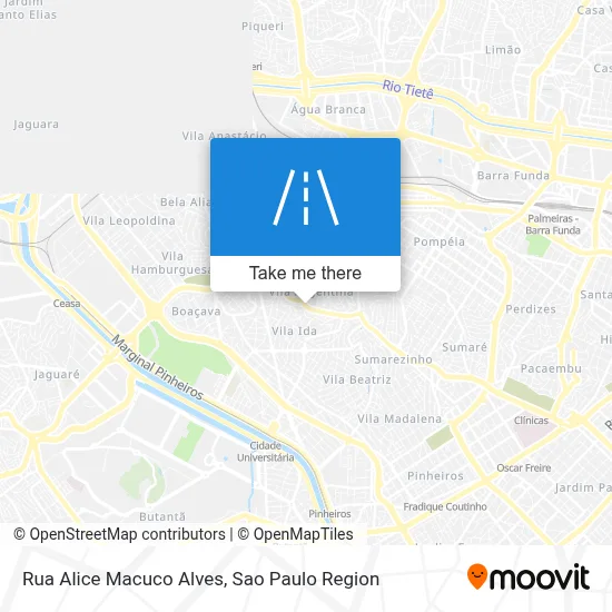 Rua Alice Macuco Alves map