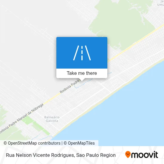 Rua Nelson  Vicente Rodrigues map