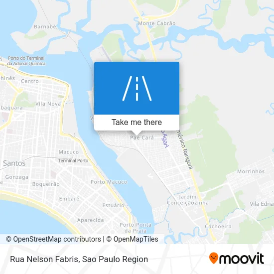 Rua Nelson Fabris map