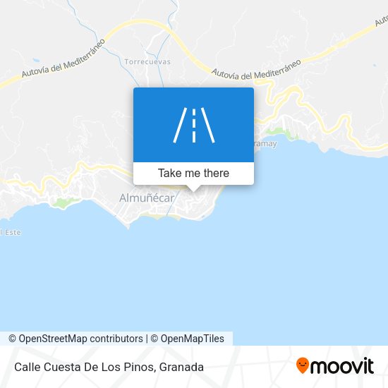 Calle Cuesta De Los Pinos map
