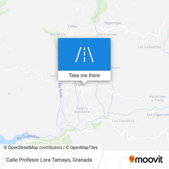 Calle Profesor Lora Tamayo map