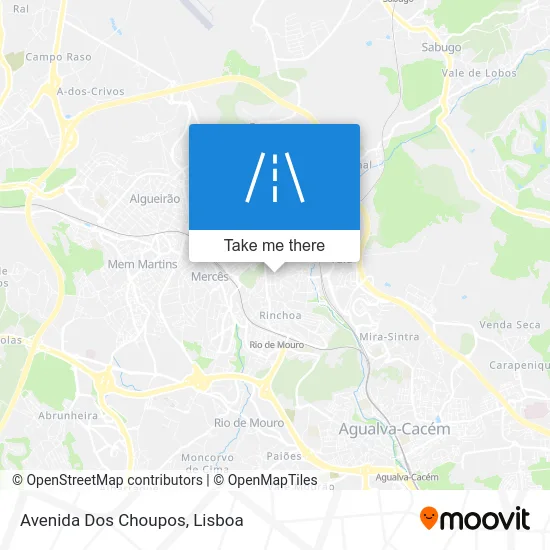 Avenida Dos Choupos map