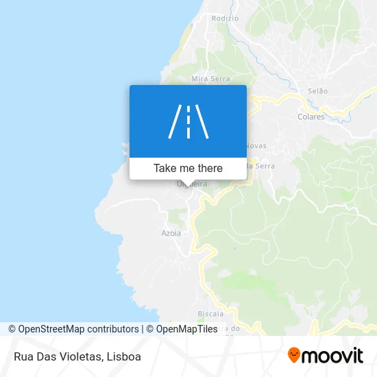 Rua Das Violetas map