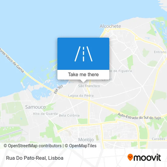 Rua Do Pato-Real map