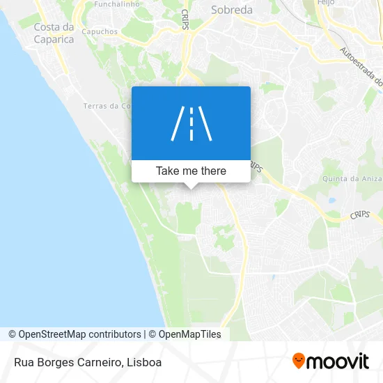 Rua Borges Carneiro map