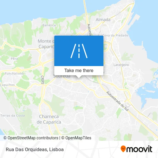 Rua Das Orquídeas map