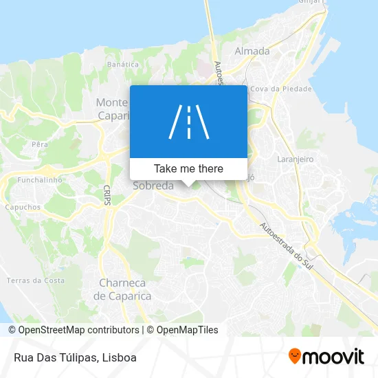 Rua Das Túlipas map