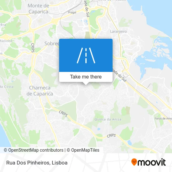 Rua Dos Pinheiros map