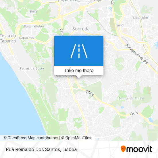 Rua Reinaldo Dos Santos map