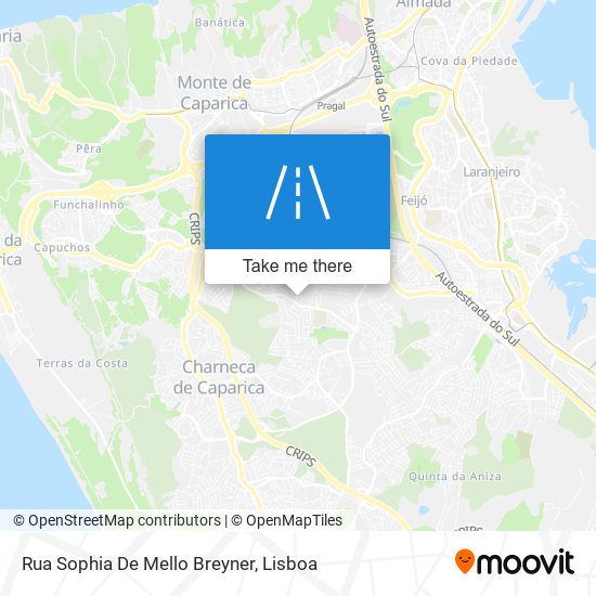 Rua Sophia De Mello Breyner mapa