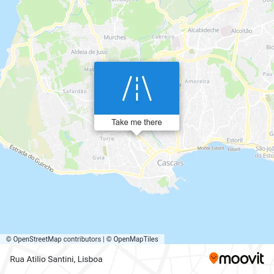 Rua Atilio Santini map