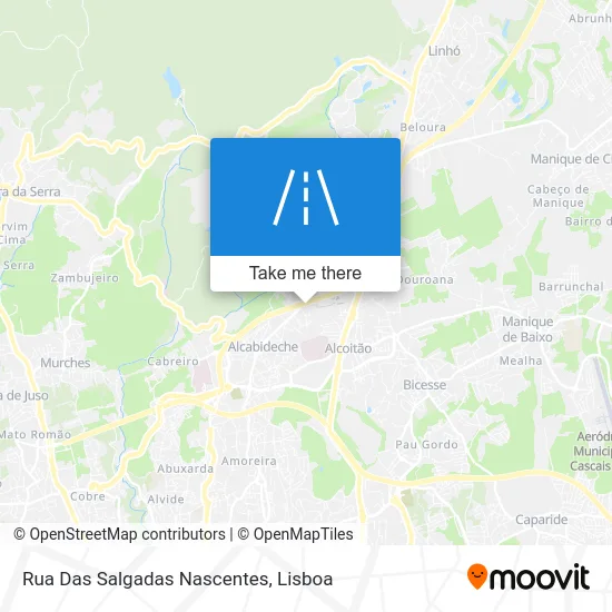 Rua Das Salgadas Nascentes map