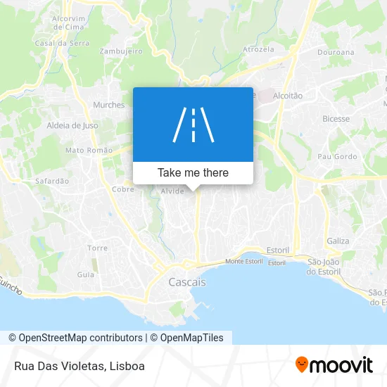 Rua Das Violetas map