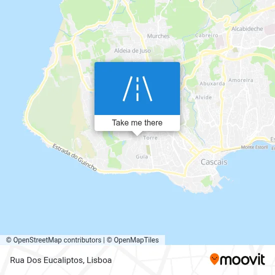 Rua Dos Eucaliptos map