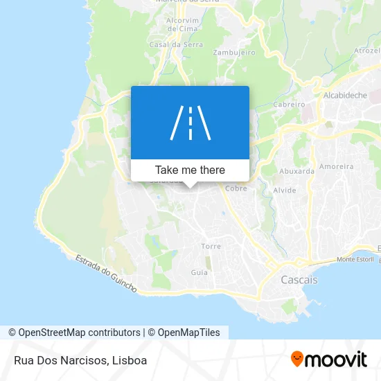 Rua Dos Narcisos map
