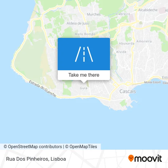 Rua Dos Pinheiros map