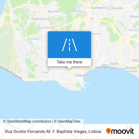 Rua Doutor Fernando M. F. Baptista Viegas map
