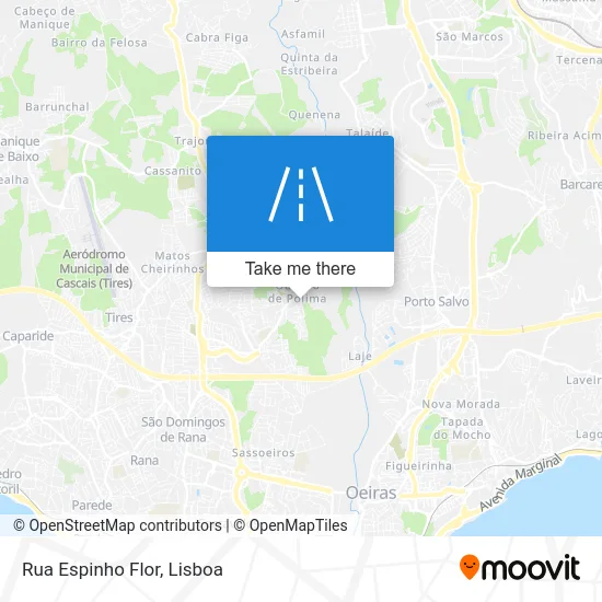 Rua Espinho Flor map