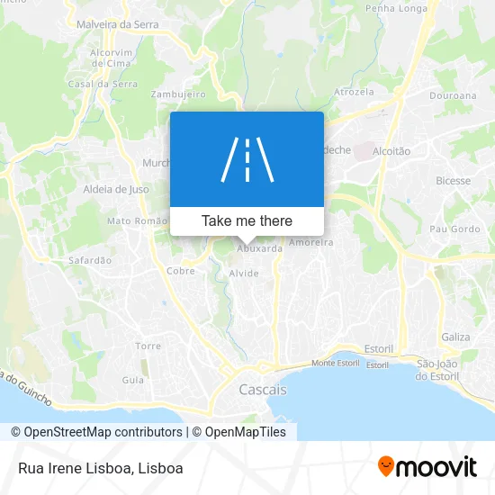 Rua Irene Lisboa map