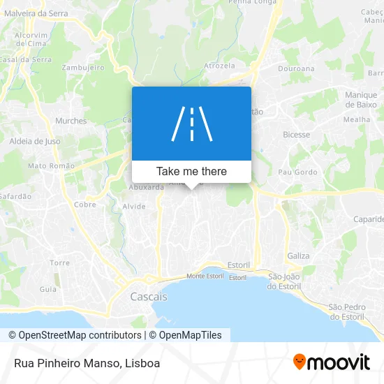 Rua Pinheiro Manso map