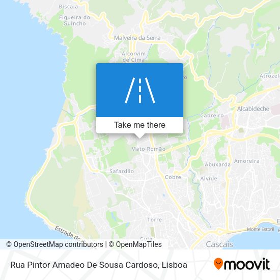 Rua Pintor Amadeo De Sousa Cardoso mapa